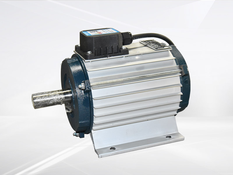 風(fēng)機(jī)專用電機(jī)